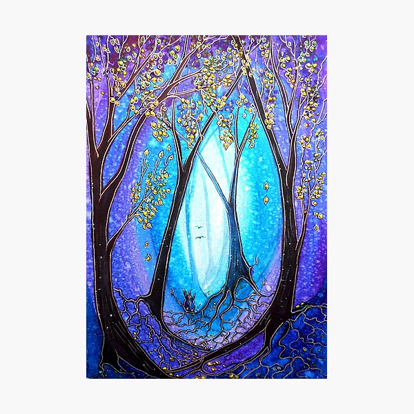 New Beginnings - Trees Photographic Print