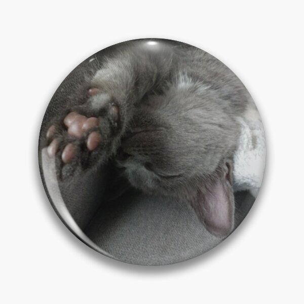 Item preview, #267 |☼| "Talk To The Paw!" - Mimi (Cats) designed and sold by Naean H.F. (Nez Man).