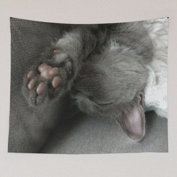Item preview, #267 |☼| "Talk To The Paw!" - Mimi (Cats) designed and sold by Naean H.F. (Nez Man).