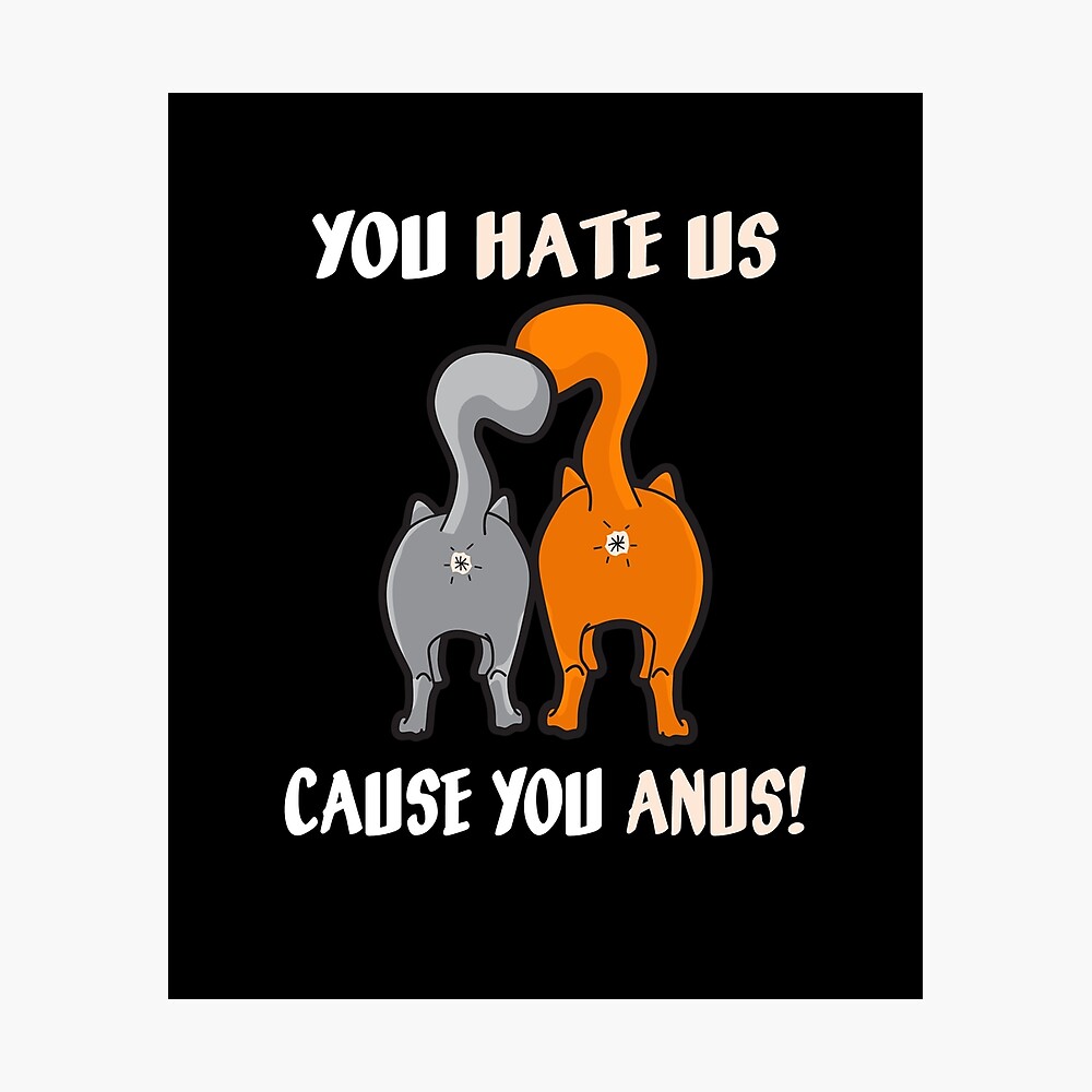 They Hate Us Cuz They Anus - They Hate Us Cause They Anus - Posters and Art  Prints
