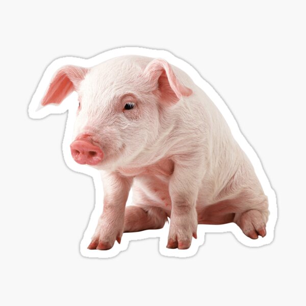 Item preview, Cute Baby Pig  designed and sold by ladyfmazzola.