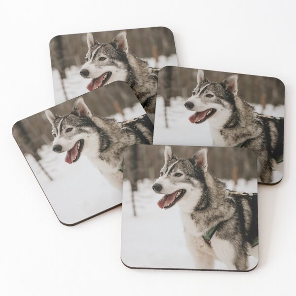 Item preview, Husky dog in Finnish Lapland (Finland) designed and sold by christastories.