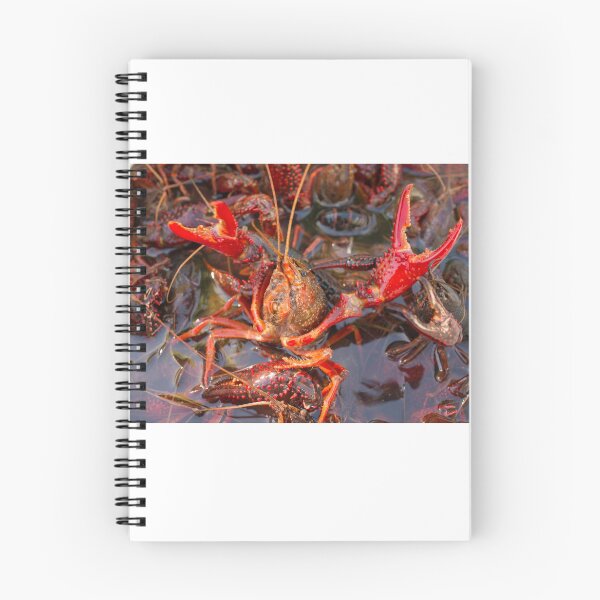Item preview, Crawfish Photograph designed and sold by JustBStudios.