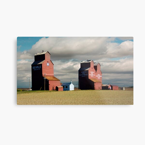 Grain Elevators, Rowley Alberta Metal Print