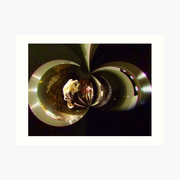 theca of momentary epiphany 1 Art Print