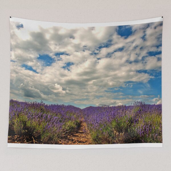 Item preview, Lavender Field Summer Flowers Cotswolds England designed and sold by AndyEvansPhotos.
