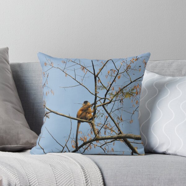 Item preview, A of Gee's Golden langur, black faced, and long haired, resting on a tree in forest designed and sold by kstanvir.