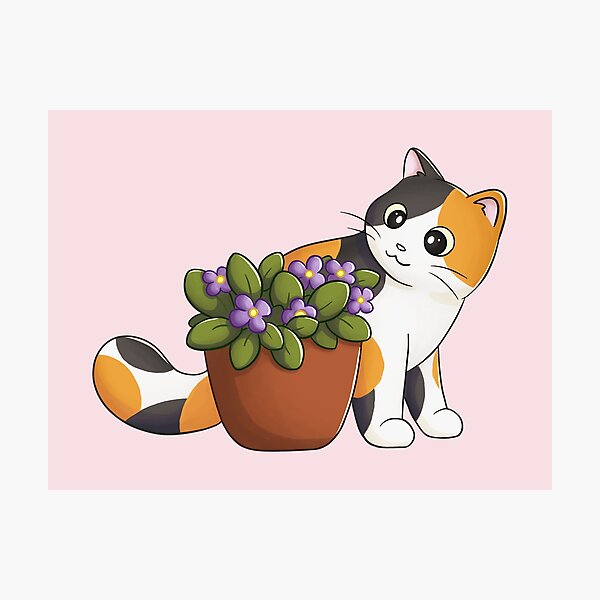 Calico Cat With Flower Photographic Print