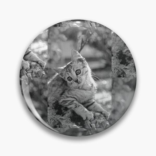 Item preview, r35 / finition 2023 -  : " Ma chatte Bien-Aimée " Photo  Okaio-Umin  Créations  Olavia-Olao designed and sold by o.okaïo.