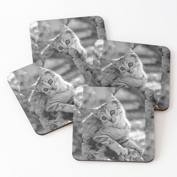 Item preview, r35 / finition 2023 -  : " Ma chatte Bien-Aimée " Photo  Okaio-Umin  Créations  Olavia-Olao designed and sold by o.okaïo.