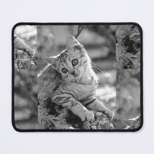 Item preview, r35 / finition 2023 - : " Ma chatte Bien-Aimée " Photo Okaio-Umin Créations Olavia-Olao designed and sold by o.okaïo.