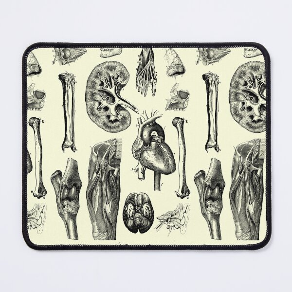 Item preview, Vintage human anatomy designed and sold by Preslava Genova.