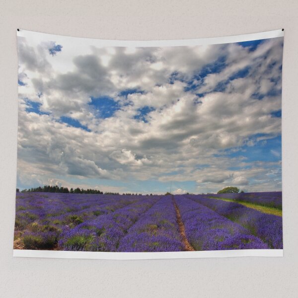 Item preview, Lavender Field Summer Flowers Cotswolds England designed and sold by AndyEvansPhotos.