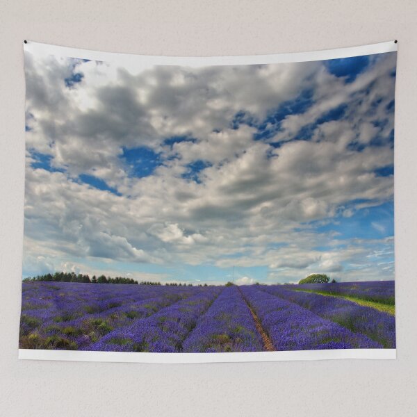 Item preview, Lavender Field Summer Flowers Cotswolds England designed and sold by AndyEvansPhotos.