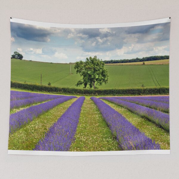 Item preview, Lavender Field Summer Flowers Cotswolds England designed and sold by AndyEvansPhotos.