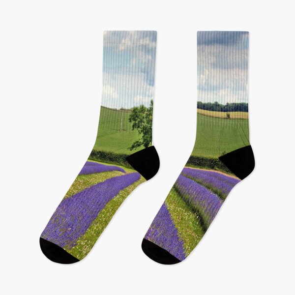 Item preview, Lavender Field Summer Flowers Cotswolds England designed and sold by AndyEvansPhotos.
