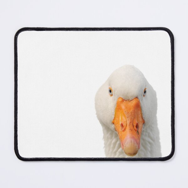 Item preview, Head of a white goose designed and sold by Schubbels-Tiere.