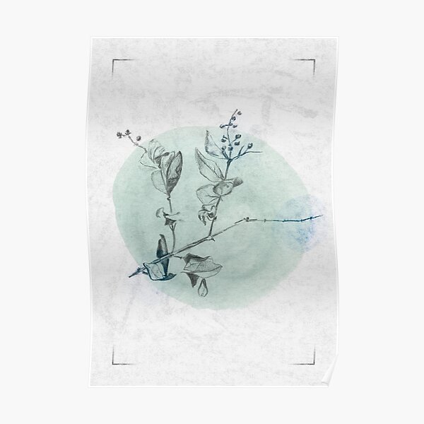 Delicate - Green and Blue Poster