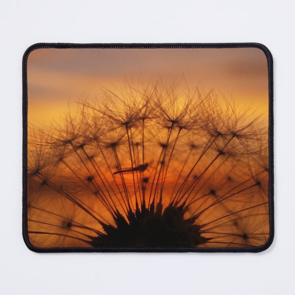 Item preview, Dandelion Sunset designed and sold by fototaker Tony.