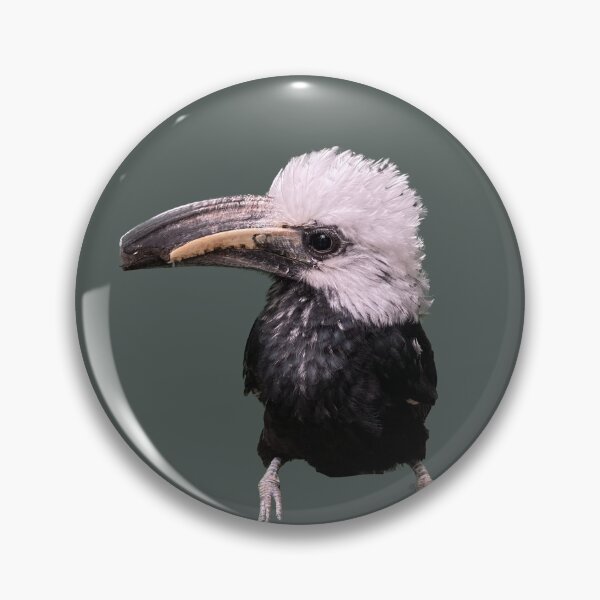 Item preview, Floofy Toucan designed and sold by abstractallie4.