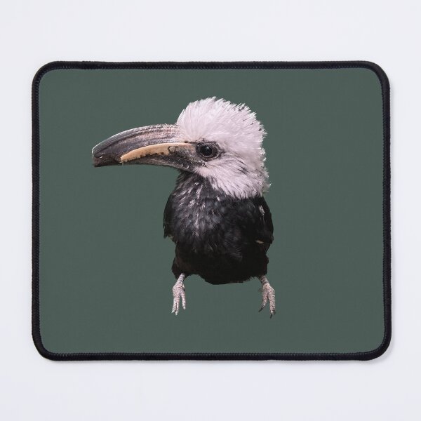 Item preview, Floofy Toucan designed and sold by abstractallie4.