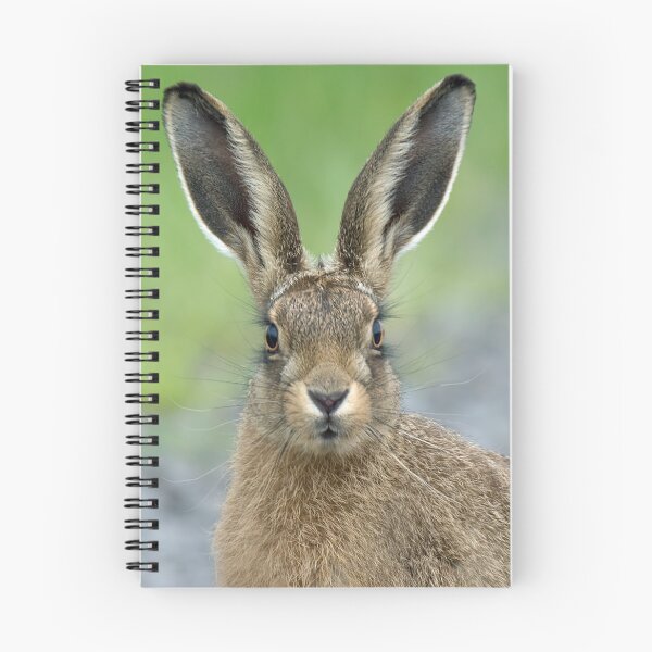 Item preview, Brown Hare designed and sold by MartRPorter.