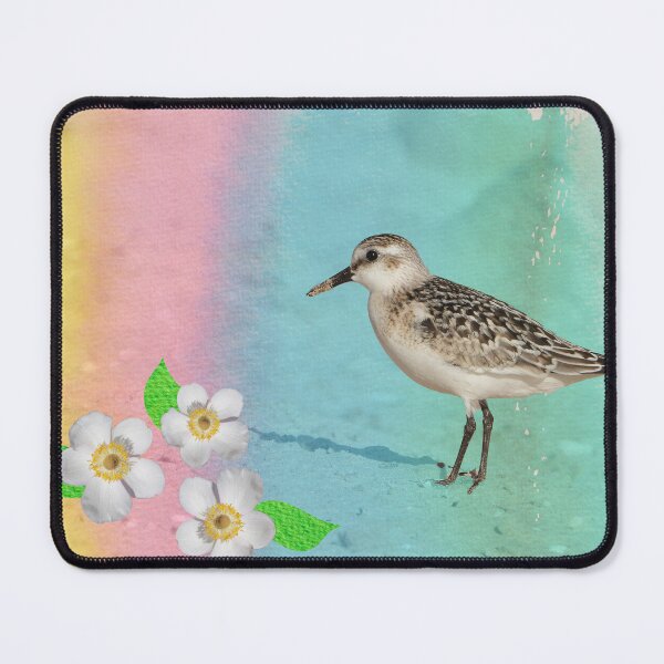 Item preview, The sanderling (Calidris alba) designed and sold by Sintija Valucka.