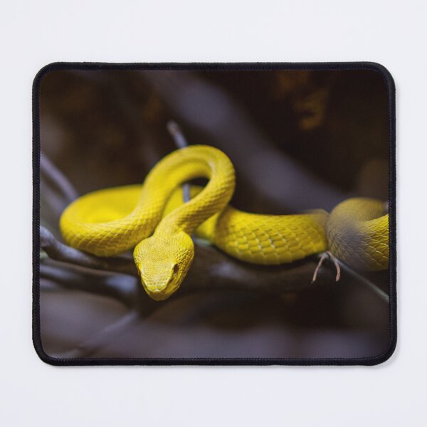 Item preview, yellow snake designed and sold by Raven-Creative.