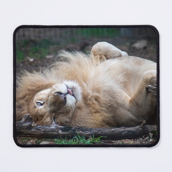 Item preview, blep white lion designed and sold by Raven-Creative.