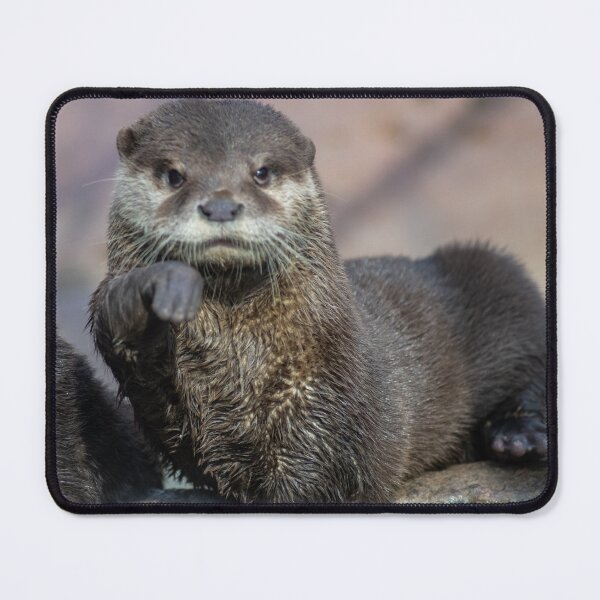 Item preview, otter welcomes you designed and sold by Raven-Creative.