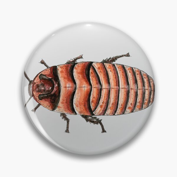 Item preview, Halloween Hissing Cockroach designed and sold by paintedpansy.