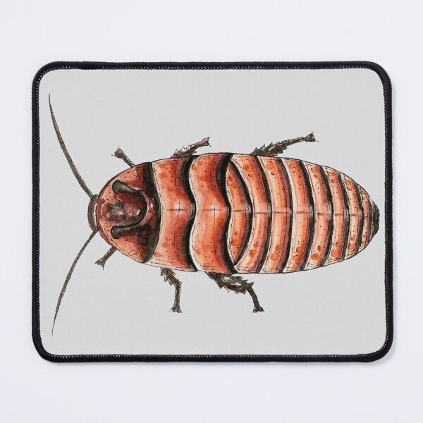 Item preview, Halloween Hissing Cockroach designed and sold by paintedpansy.