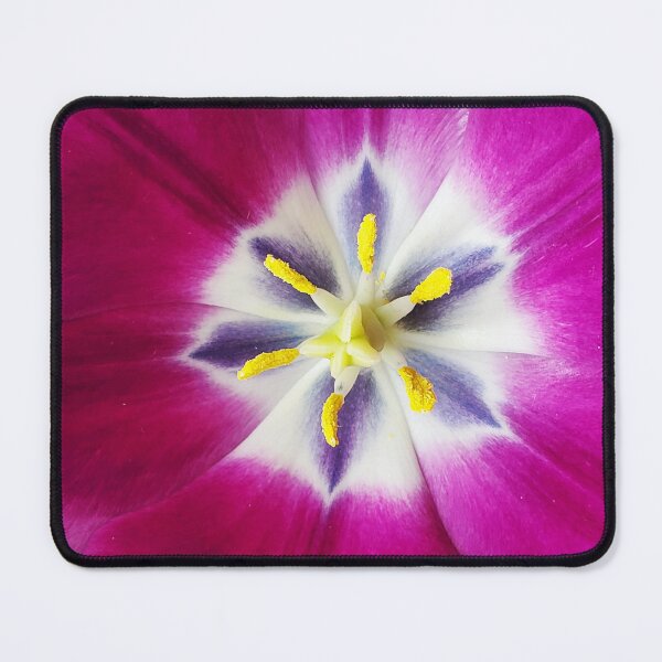 Item preview, Tulip flower has one pistil and 6 stamens designed and sold by annasofia.