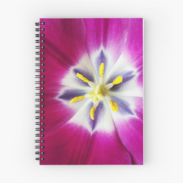 Item preview, Tulip flower has one pistil and 6 stamens designed and sold by annasofia.