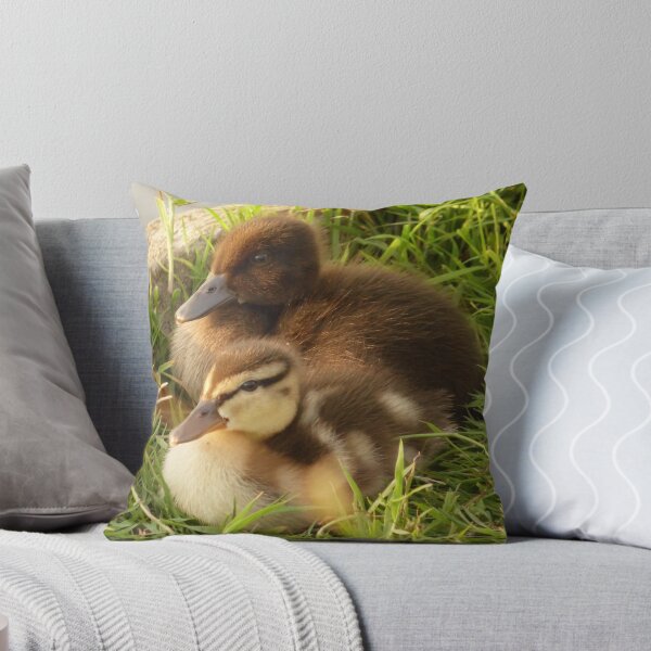 Item preview, Little Quackers designed and sold by TerriWatson.