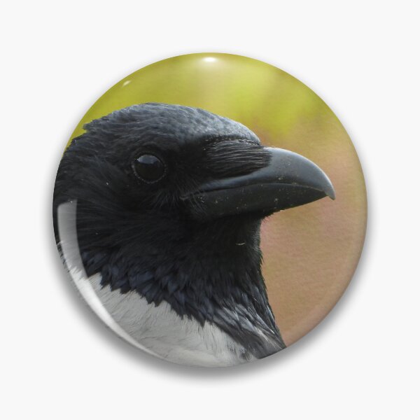 Item preview, The hooded crow (Corvus cornix) spring art designed and sold by Sintija Valucka.