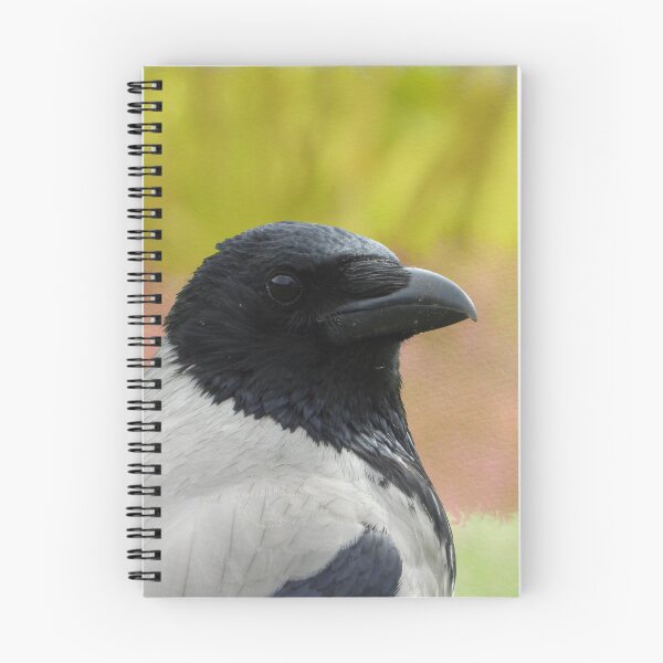 Item preview, The hooded crow (Corvus cornix) spring art designed and sold by Sintija Valucka.