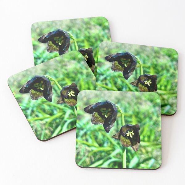 Item preview, California Native Flower - Fritillaria Biflora designed and sold by FungalVoid.