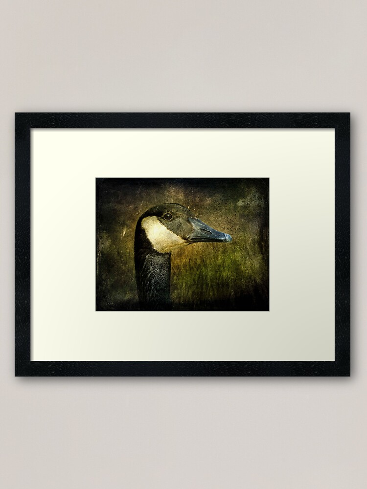 Alternate view of Canada Goose Framed Art Print