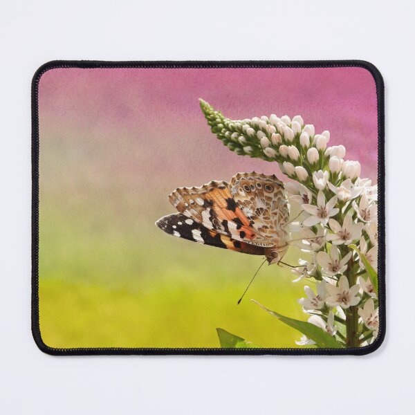 Item preview, The painted lady (Vanessa cardui). Summer vibes art. designed and sold by Sintija Valucka.