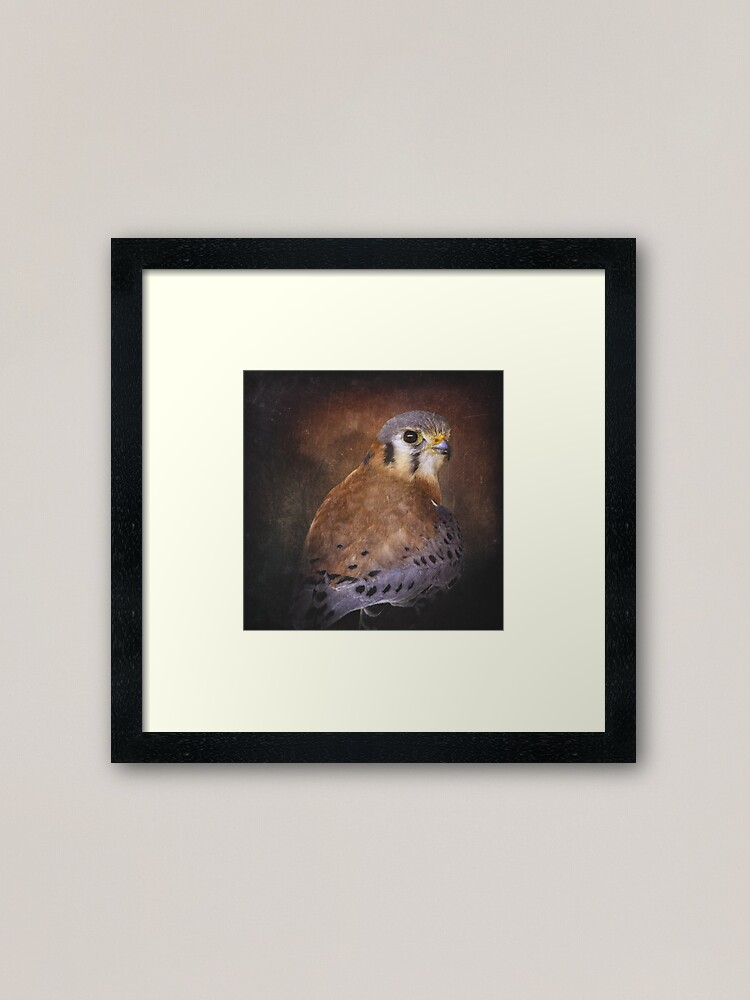 Alternate view of Kestrel Framed Art Print
