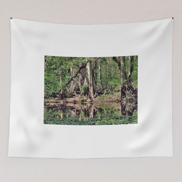 Item preview, A Florida Riverine Forest 2 designed and sold by jtrommer.
