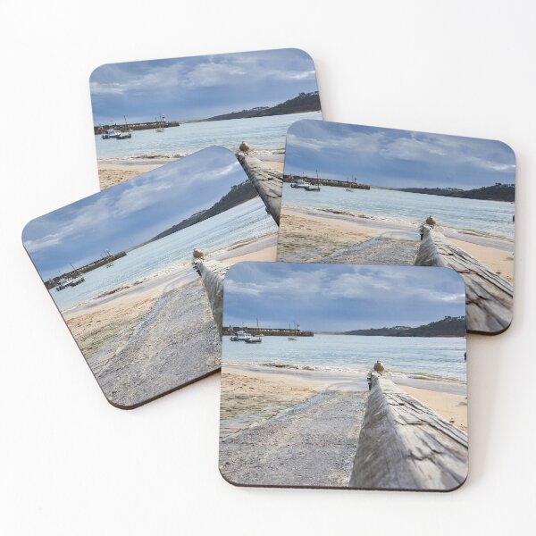 Item preview, Approaching Gull, St Ives Cornwall designed and sold by VnGphoto.