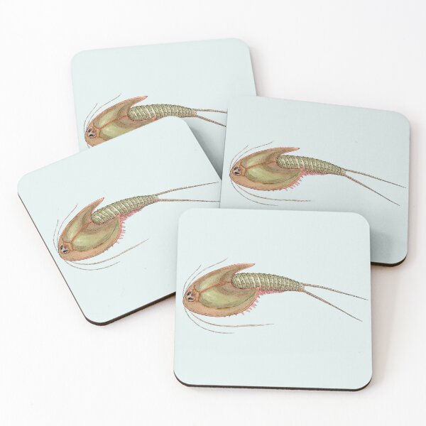 Item preview, Triops longicaudatus designed and sold by paintedpansy.