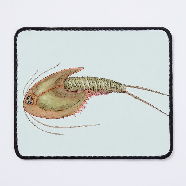 Item preview, Triops longicaudatus designed and sold by paintedpansy.
