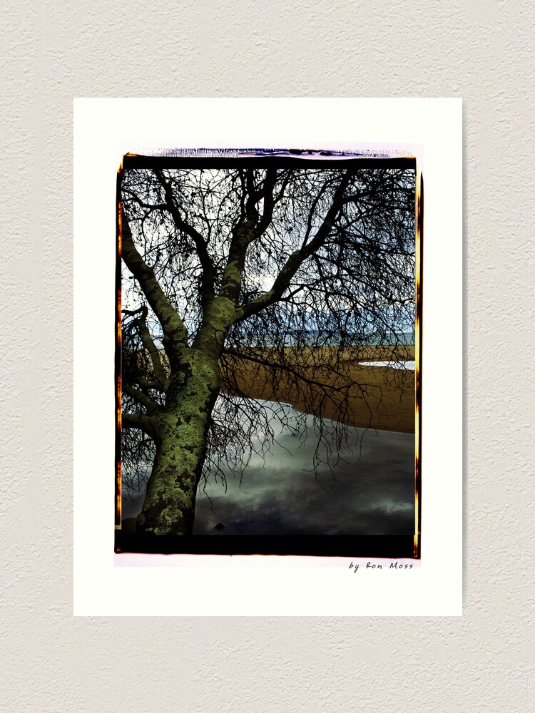 Thumbnail 1 of 3, Art Print, at the beach designed and sold by ronmoss.
