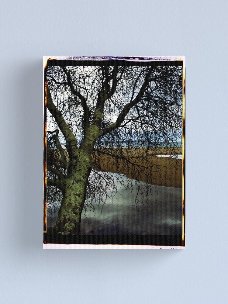 Alternate view of at the beach Canvas Print