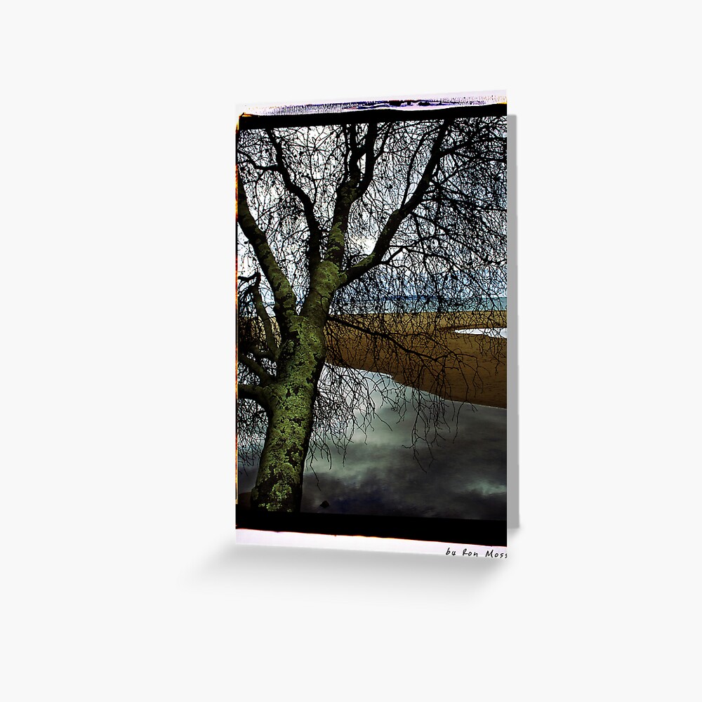 Item preview, Greeting Card designed and sold by ronmoss.