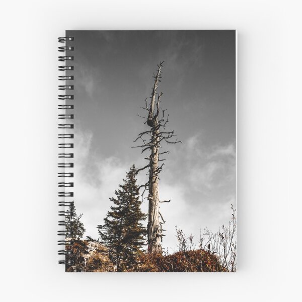 Item preview, Old dry tree standing alone in the mountains, Apls, Switzerland designed and sold by Alexander Sorokopud.