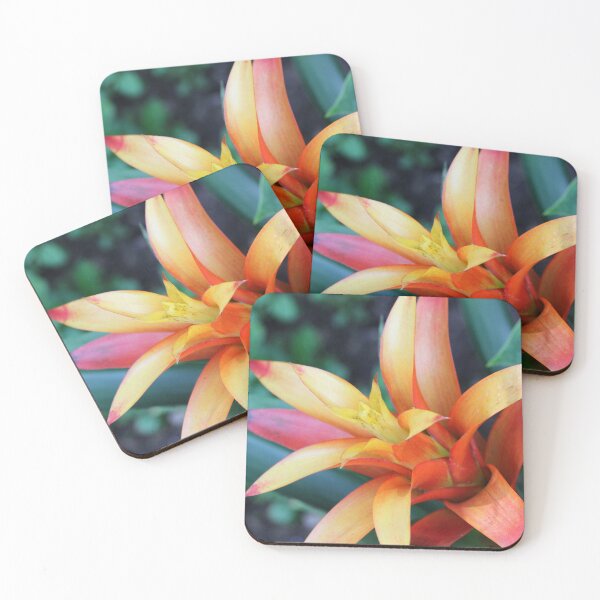Item preview, Guzmania Bromeliad Flower Bloom designed and sold by Corey Ford.